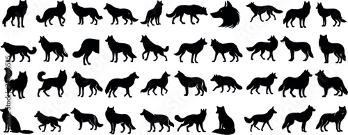 Wolf silhouettes  diverse poses of wolf  elegant  dynamic  ideal for wildlife projects  tattoos  educational content. Majestic wolves captured in minimalist  sleek design
