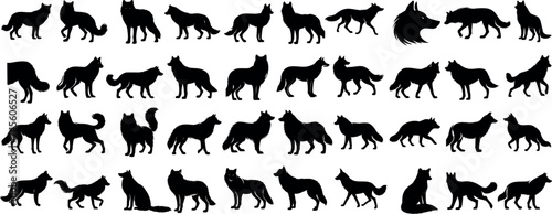 Wolf silhouettes, various poses of wolves, running, standing, howling, wildlife, nature, animal, wild, canine, predator, pack, forest, moonlight, illustration, wolf vector artwork designs