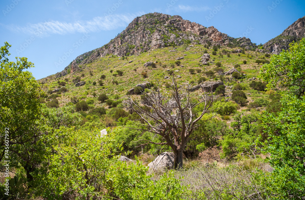 Guadalupe Mountains National Park in Western Texas Guadalupe Mountains National Park in Western Texas