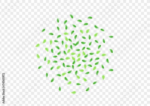 Greenish Foliage Background Transparent Vector. Vegetation Eucalyptus Texture. Clear Frame. Green Process Design. Greenery Banner.