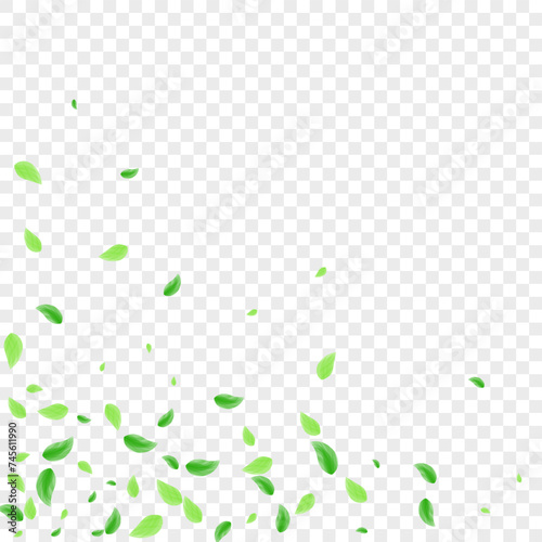 Green Leaf Background Transparent Vector. Greenery Ecology Texture. Refreshing Card. Greenish Icon Frame. Plant Figure.