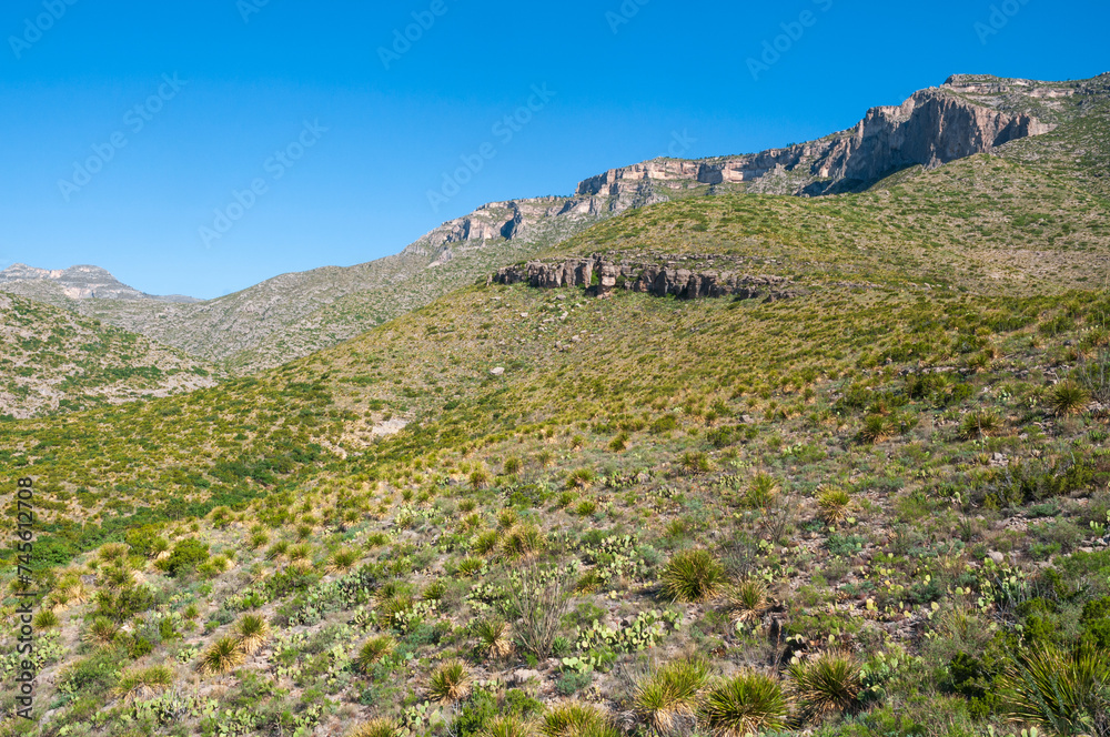 Guadalupe Mountains National Park in Western Texas Guadalupe Mountains National Park in Western Texas