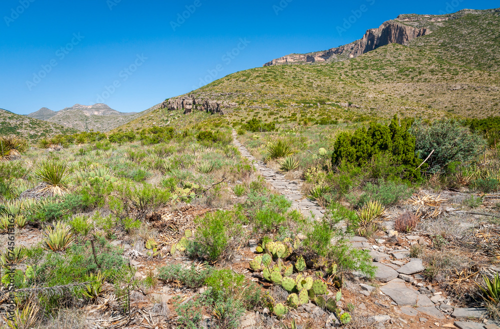 Guadalupe Mountains National Park in Western Texas Guadalupe Mountains National Park in Western Texas