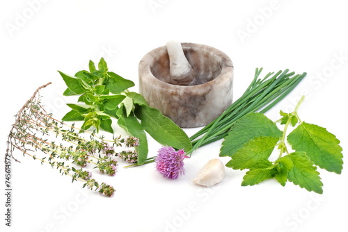 Fresh herbs and stone mortar isolated on white background.