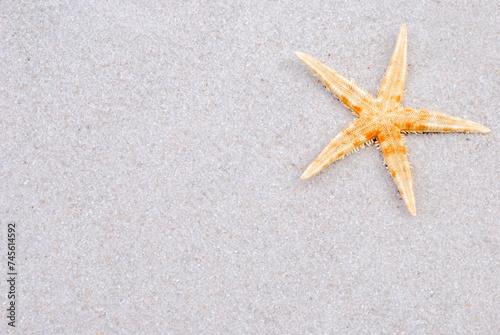 Starfish on white sand. Summer background. 