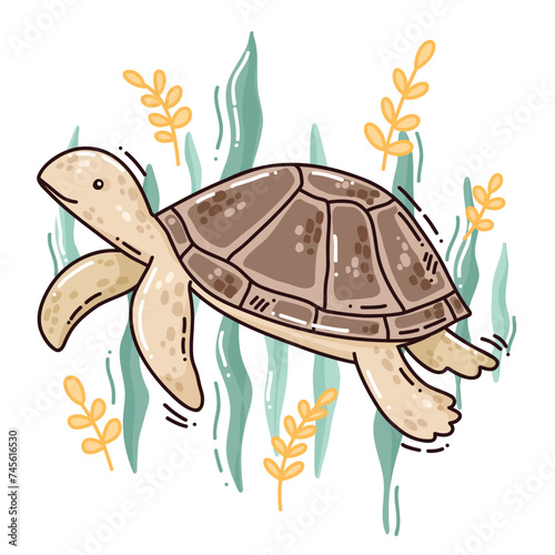 hand drawn vector illustration of turtle