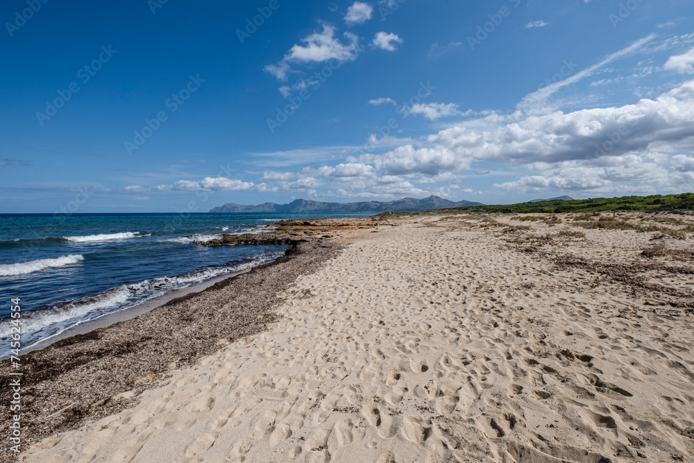 Na Patana beach, municipality of Santa Margalida, Bahía de Alcudia, Mallorca, Spain