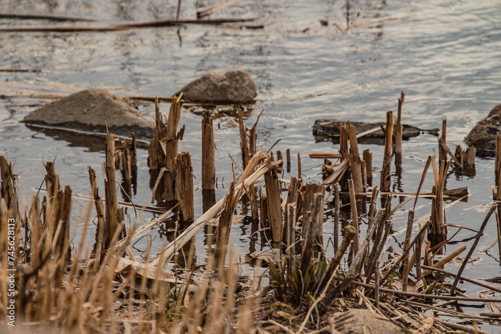 Scenic lake surrounded by parched grass