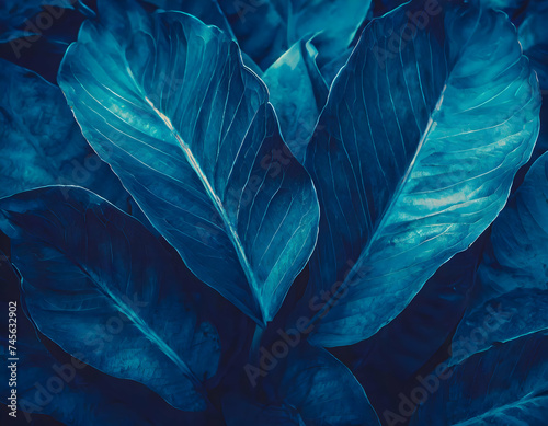 Abstract blue leaf texture, dark foliage nature background, tropical leaf for backdrop on digital art concept.