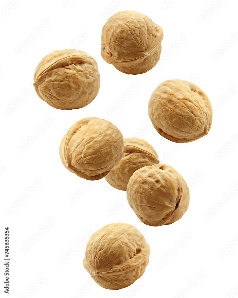 Falling Walnut, nut, isolated on white background, full depth of field Falling Walnut, nut, isolated on white background, full depth of field