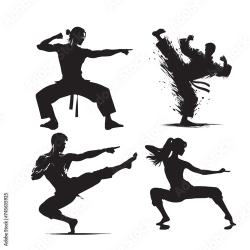 Silhouette of martial art. Kungfu, karate, taekwondo