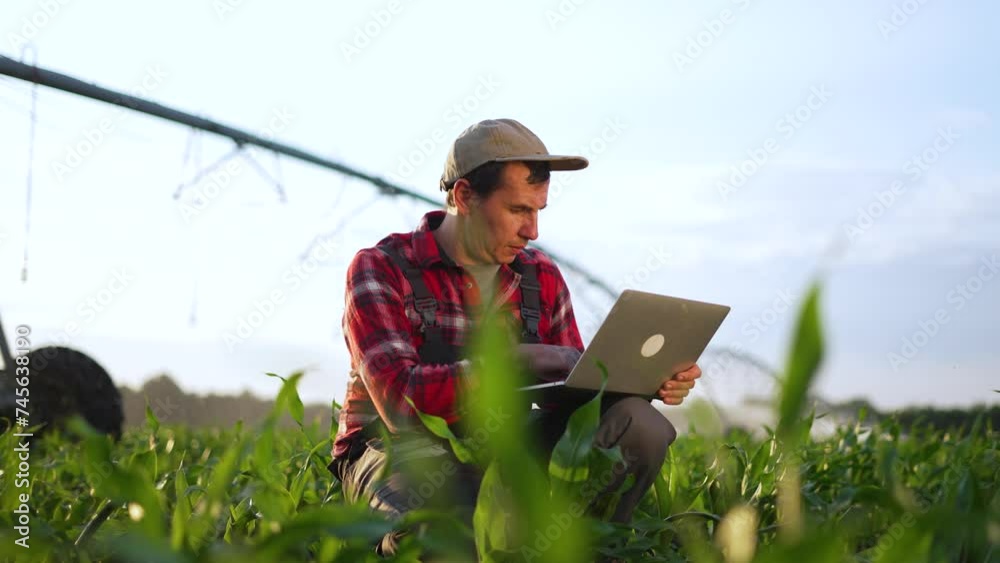 Agriculture.Farmer with laptop in corn field controls operation of plant irrigation system.Farmer examines corn plants at sunset. Operation of irrigation system technology in arid soil. Organic corn Agriculture.Farmer with laptop in corn field controls operation of plant irrigation system.Farmer examines corn plants at sunset. Operation of irrigation system technology in arid soil. Organic corn