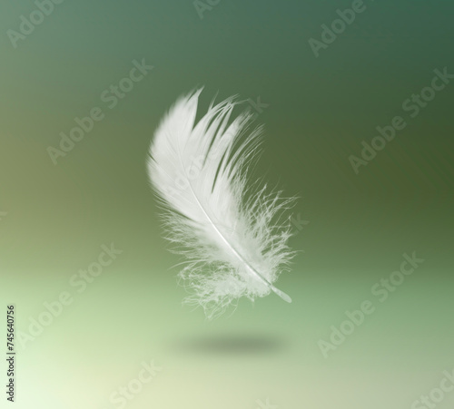 Fluffy bird feather falling on color background © New Africa