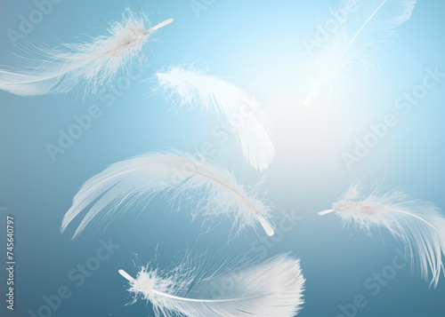 Fluffy bird feathers falling on light blue background
