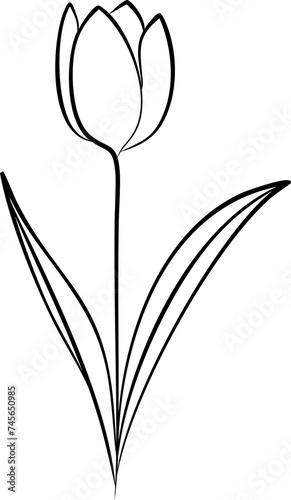 Floral illustration of a heart shape composed of tulips flowers