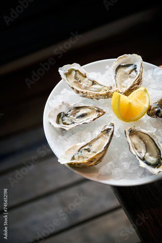 Food gastronomy 