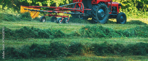 Agricultural tractor gathering mowed grass in meadow