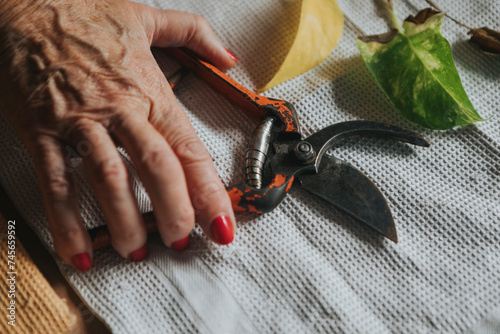 Hand of senior woman holding pruning shears on table photo