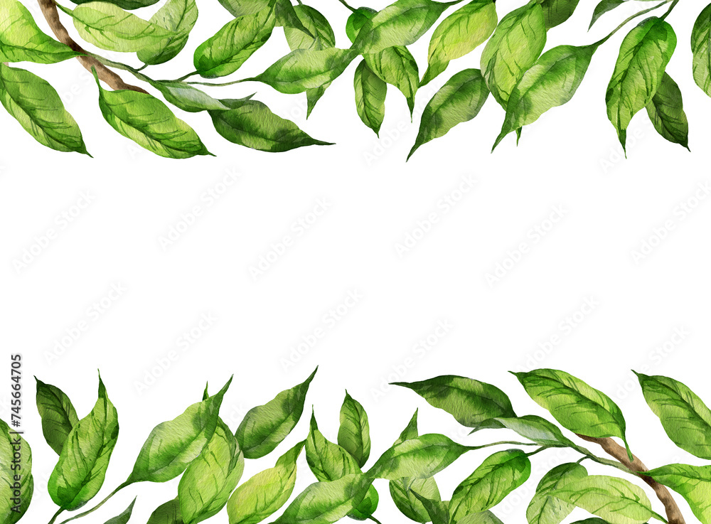 watercolor horizontal frame with illustration of green leaves on a branch, branch of peach or apricot, nectarine, sketch of nature element isolated on white background