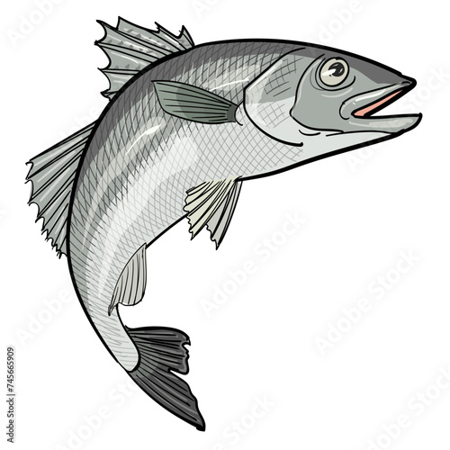 跳ねる魚‐鱸