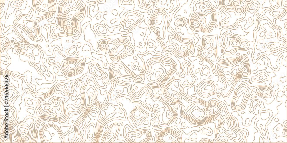 Thin lines texture. Abstract Turing ornament halftone reaction diffusion psychedelic backs wave paper curved reliefs abstract background, Abstract topographic contours map background. 