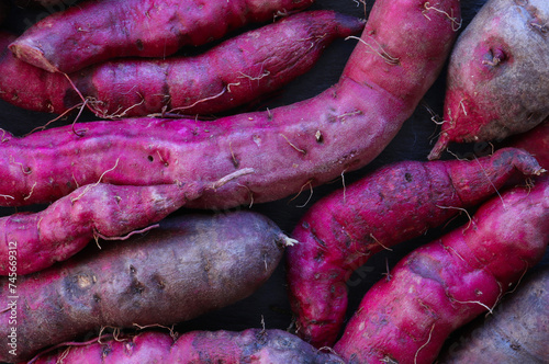 Okinawa sweet potatoes for food illustration