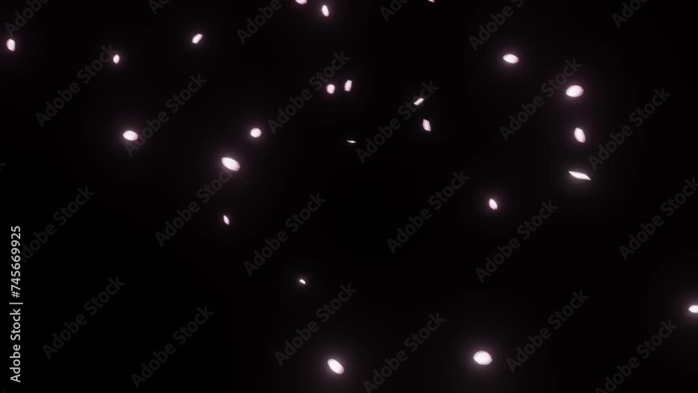 Cherry blossom petals falling particle animation (PNG Background) - (4K_60fps)