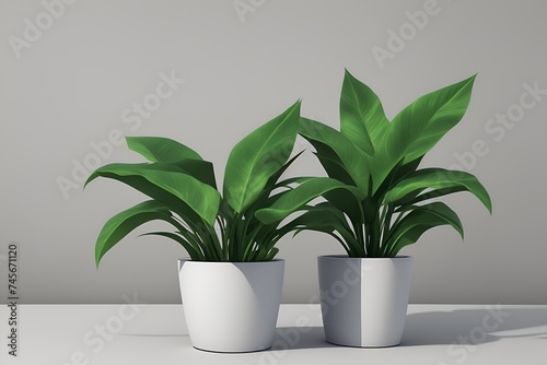 Two Potted Plants on Table