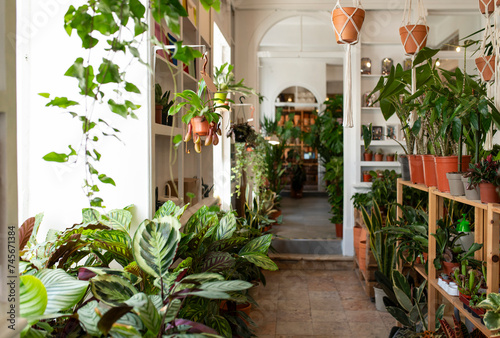 Various types of plants in plant nursery