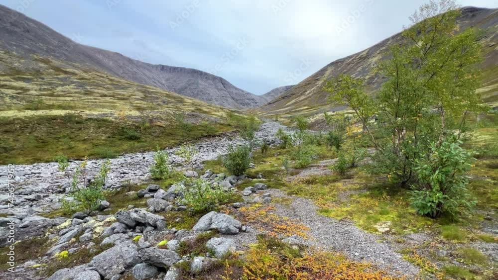 Autumn Arctic landscape in the Khibiny mountains. Kirovsk, Kola Peninsula, Polar Russia. Autumn colorful forest in the Arctic, Mountain hikes and adventures. 4K Autumn Arctic landscape in the Khibiny mountains. Kirovsk, Kola Peninsula, Polar Russia. Autumn colorful forest in the Arctic, Mountain hikes and adventures. 4K