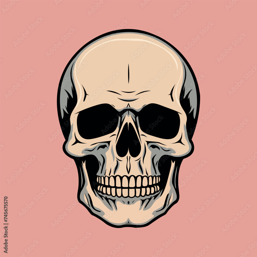 human skull head illustration