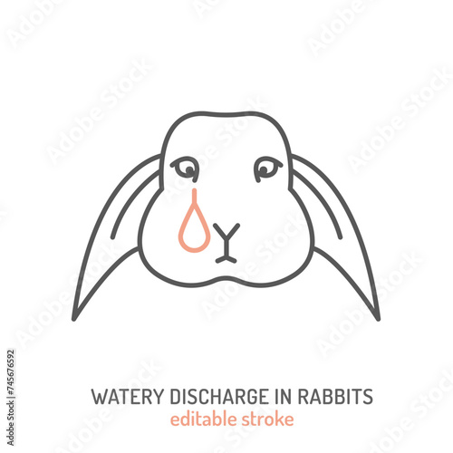 Watery discharge from rabbits eyes. Common pet disease symbol.