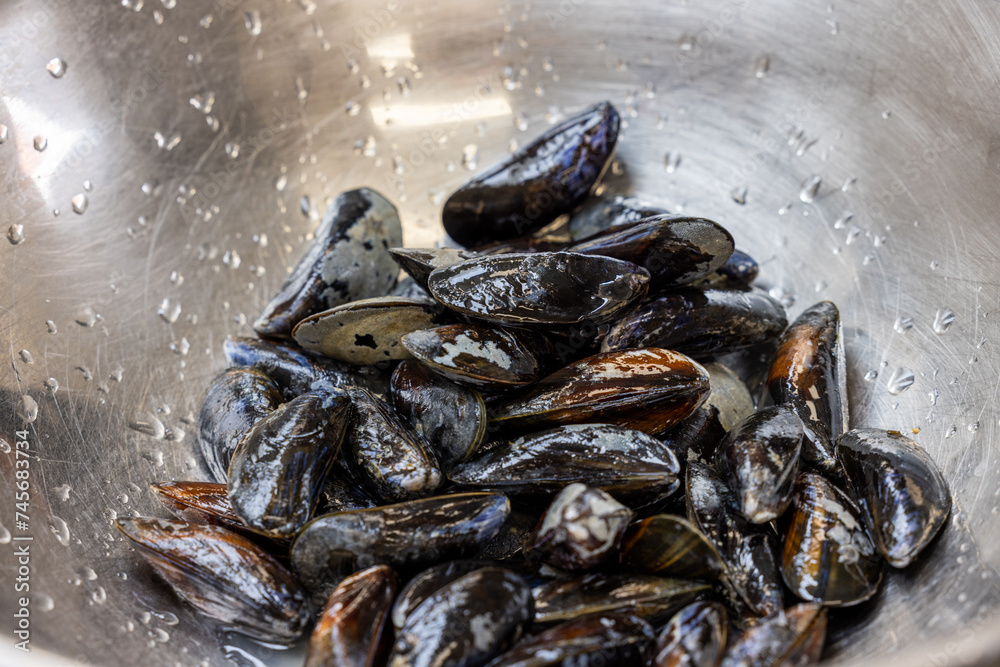 A closer view of a collection of wet, freshly rinsed mussels nestled in a stainless steel bowl, ready for culinary use. The sheen of water on the mussels and the inside of the bowl suggests they have A closer view of a collection of wet, freshly rinsed mussels nestled in a stainless steel bowl, ready for culinary use. The sheen of water on the mussels and the inside of the bowl suggests they have