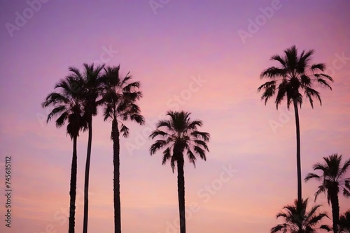 Tropical Twilight Palm Silhouettes