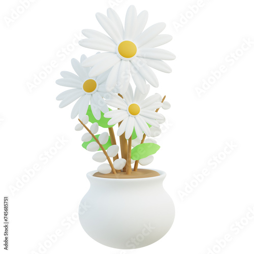 White Daisy Flowers in Round Pot © Pix