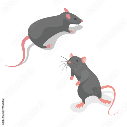 Runaway mouse, rear view close-up. Gray rodent isometric style. Vector illustration flat design. Isolated on white background.
