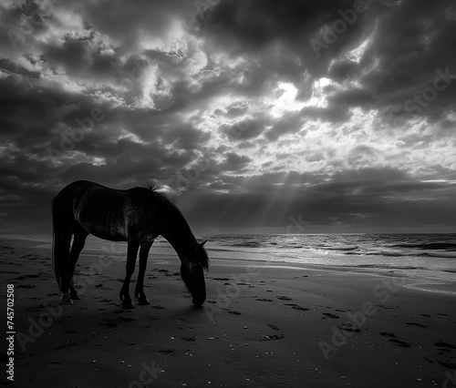 horse standing on top of a sandy beach under a cloudy sky © epiximages