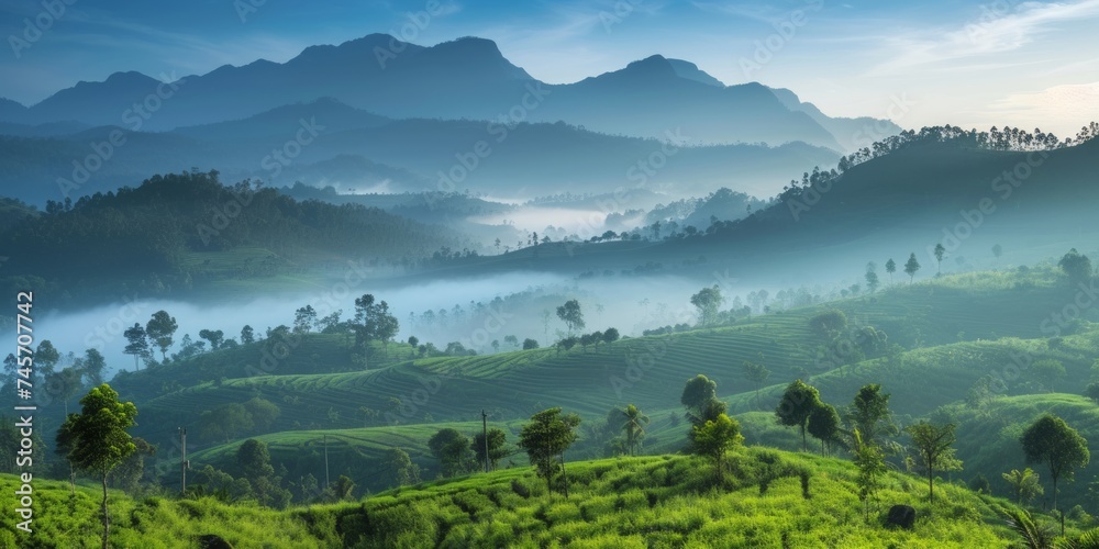 Immerse yourself in the serene beauty of mountains during the morning mist