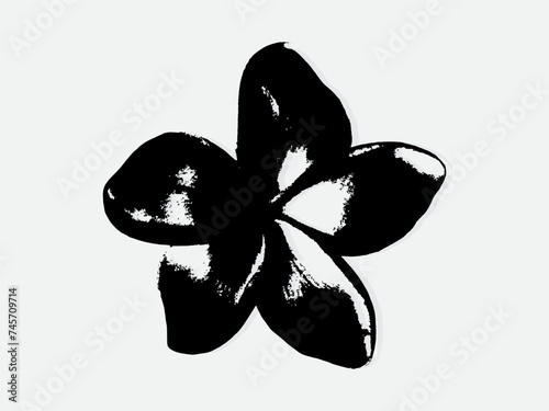 Flower engraving vector illustration. Scratch board style imitation. Black and white hand drawn image. llustrations for poster, background or card. photo