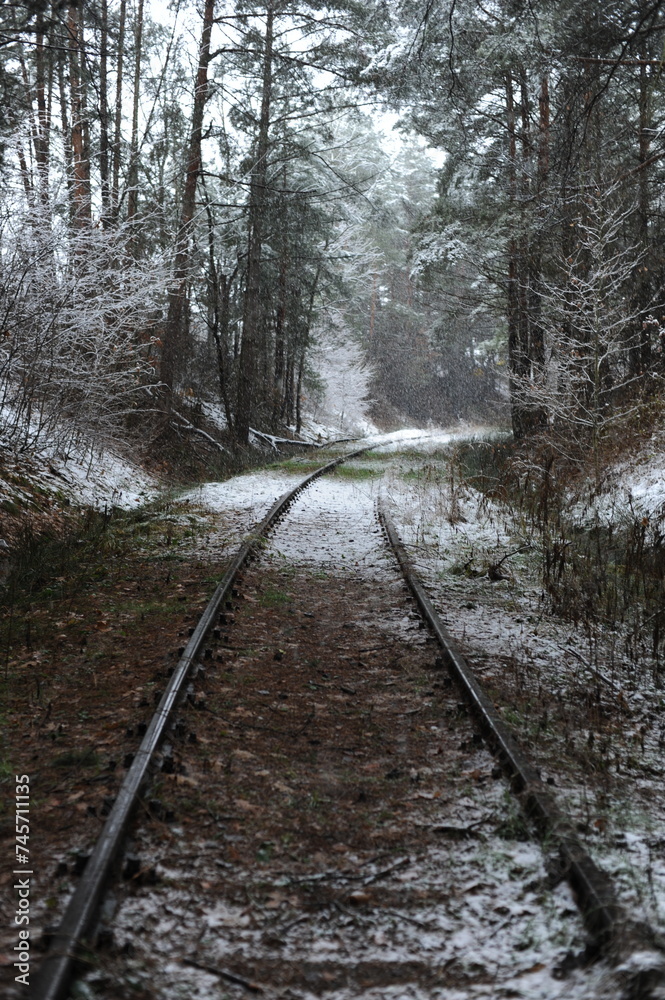 Fototapeta premium Railway and railroad tracks in the winter forest with snow and trees during winter. Beautiful landscape.
