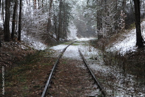 Railway and railroad tracks in the winter forest with snow and trees during winter. Beautiful landscape. © piotrmilewski