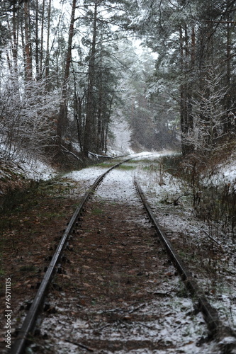 Railway and railroad tracks in the winter forest with snow and trees during winter. Beautiful landscape.