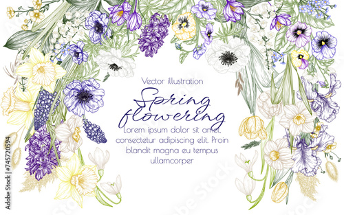 	
Vector illustration of spring flowers. Snowdrops, crocuses, brunnera, tulips, muscari, hyacinths, irises, daffodil, pansies, lily of the valley, anemone