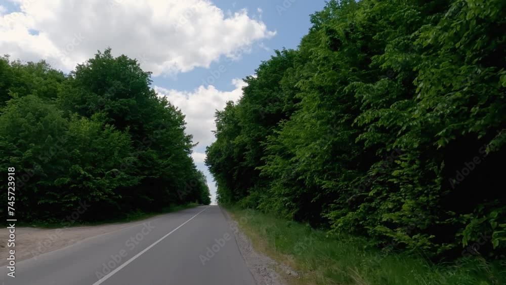 Local asphalt road with forest on both sides Local asphalt road with forest on both sides