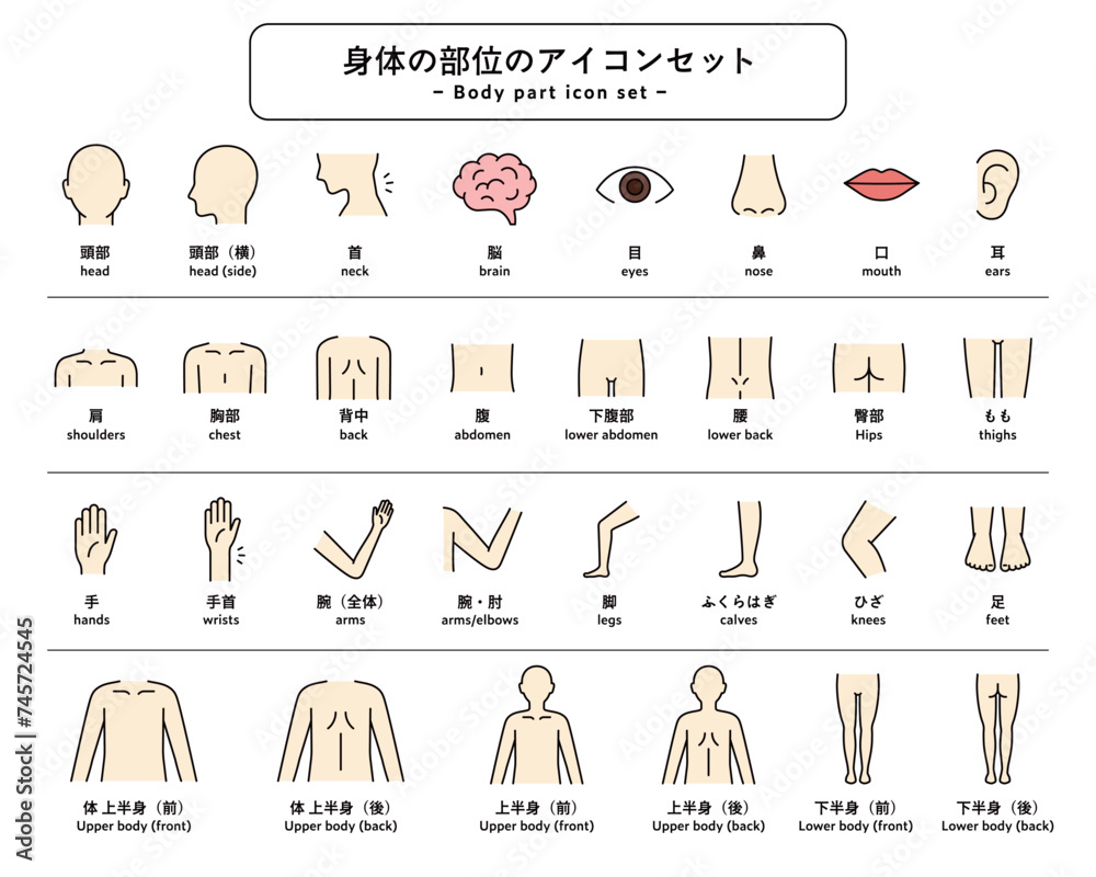 体(身体)の部位のアイコンセット パーツ 人体 ピクトグラム 健康 上半身 下半身 マッサージ 医療 Stock Vector | Adobe ...