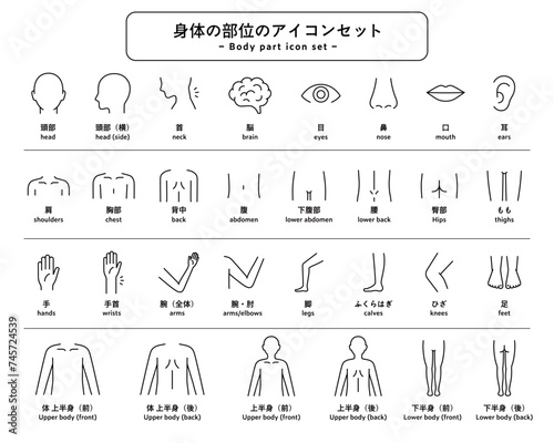 体（身体）の部位のアイコンセット　パーツ　人体　ピクトグラム　健康　上半身　下半身　マッサージ　医療