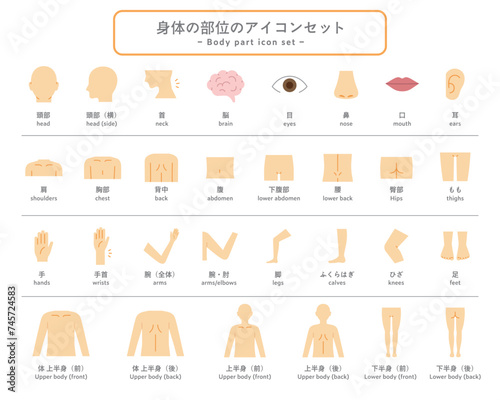 体（身体）の部位のアイコンセット　パーツ　人体　ピクトグラム　健康　上半身　下半身　マッサージ　医療