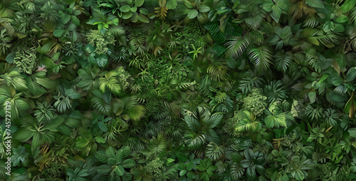 a image of a dense jungle canopy seen from above, with layers of foliage creating a lush and vibrant mosaic of green
