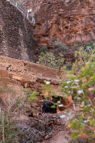 gran canaria barranco de las vacas landscape