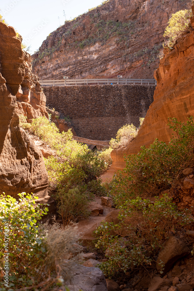 Fototapeta premium gran canaria barranco de las vacas landscape